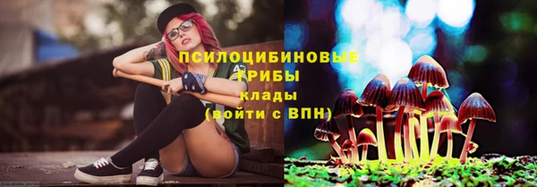 МДПВ Богданович