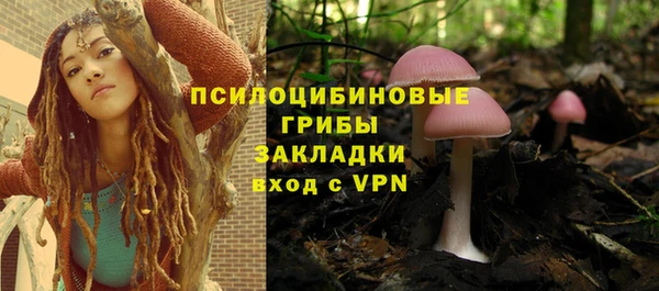 МДПВ Богданович