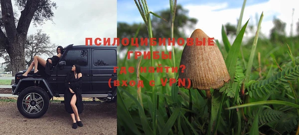 МДПВ Богданович