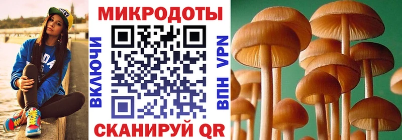 где можно купить наркотик Кинешма Галлюциногенные грибы мухоморы