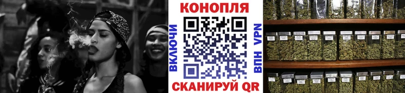 Каннабис OG Kush  Кинешма 